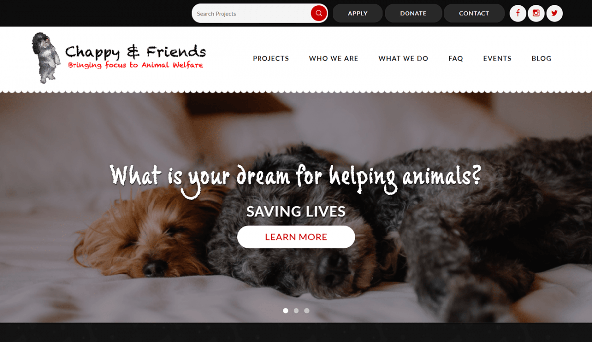 Nonprofit Website