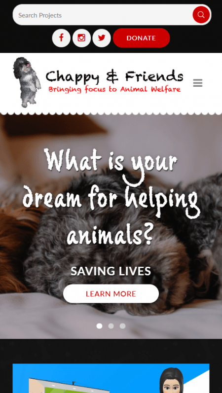 Nonprofit Website