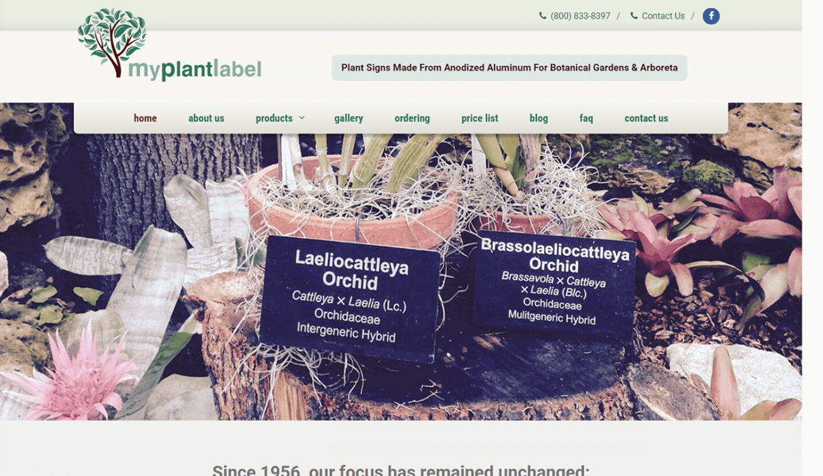 Website design, plant nursery.
