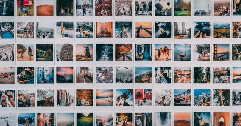 A curated collection of free stock photos showcased on a wall.