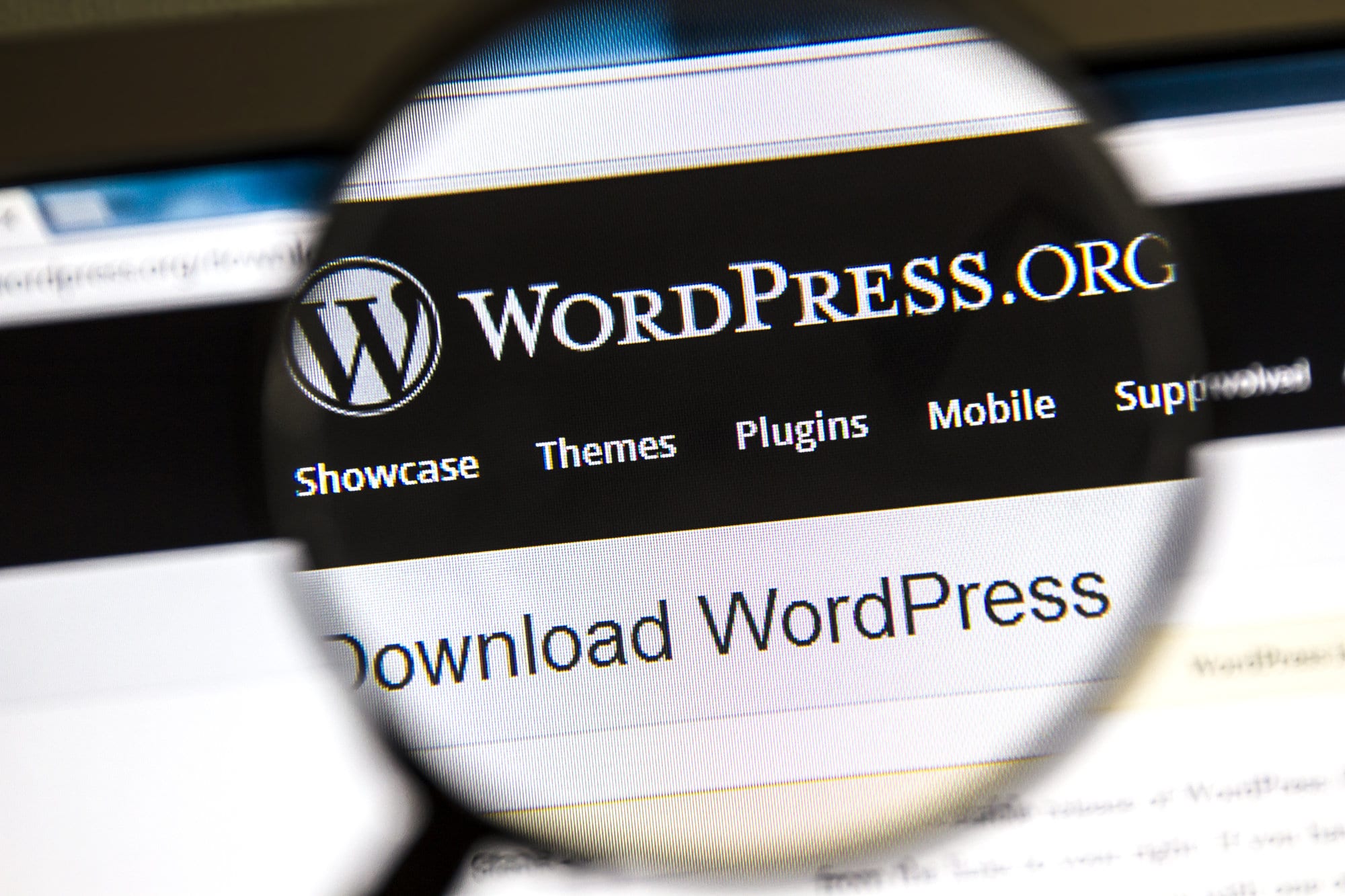 A magnifying glass reveals the detailed features of a WordPress website.