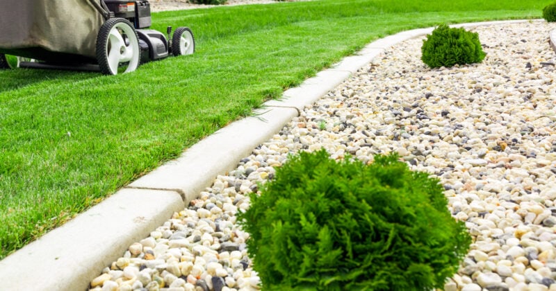 A lawn mower is parked in a grassy area, showcasing the best lawn care websites.