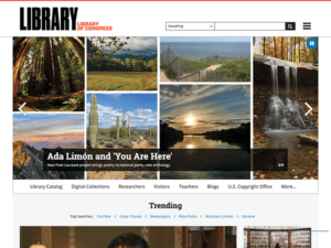 The homepage of a library wordpress theme.