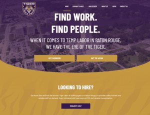 A website design for the University of Texas at Austin that ranks among the 20 Best Staffing Websites.