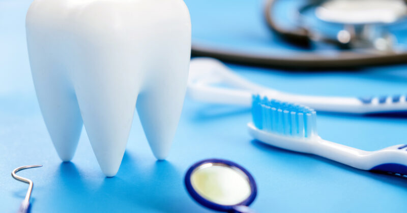 A tooth and dental tools on a blue table.