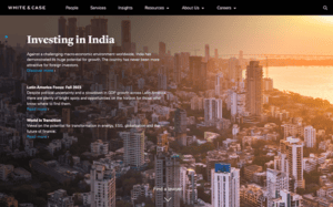 Investing in india wordpress theme.