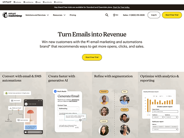 A screenshot of a website with the words turn email into revenue.