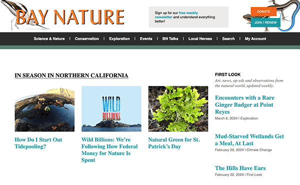 Website homepage for "bay nature" featuring articles on nature in northern california, with headlines about tides, wildlife funding, st. patrick's day in nature, and climate change.