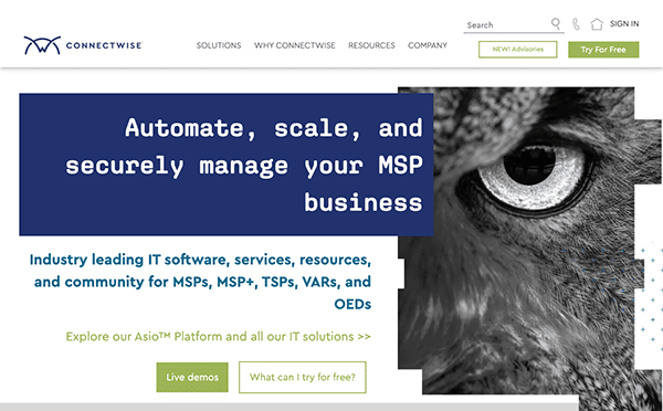 A website with an owl on it.