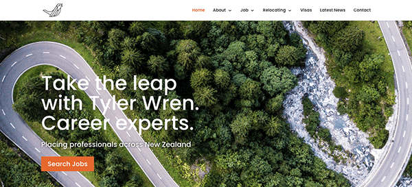 A website homepage with aerial view of a winding road beside a river, featuring a banner with the text: "take the leap with tyler wren. career experts.