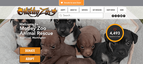 Website banner for motley zoo animal rescue featuring adorable puppies and adoption information.