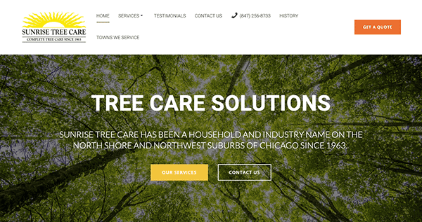 Tree canopy view from below with a website interface offering tree care services and contact information.