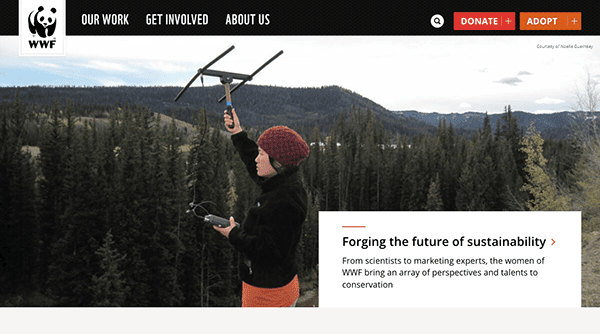 A person conducts environmental research in a forest, representing wwf's conservation efforts.