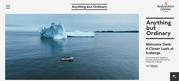 Aerial view of a small boat navigating near large icebergs in the ocean, featured on a tourism website with the headline "anything but ordinary".