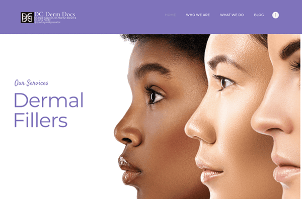 Website banner for dc derm docs featuring profile views of a black woman and a white woman, with the text "our services dermal fillers.