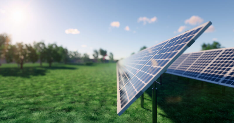Solar panels arranged in a field, capturing sunlight on a clear day with a blue sky and scattered clouds. Trees are visible in the background, creating an idyllic setting that could inspire the best solar website designs.
