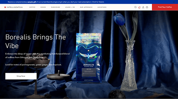 Coffee bag labeled "Borealis" next to a blue tulip in a glass vase and a small dessert on a plate. Text reads: "Borealis Brings The Vibe." Discover why it's featured on the best cafe sites.