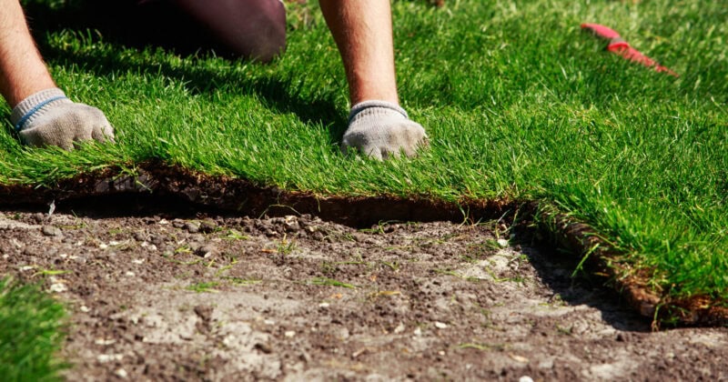 A person in gloves meticulously laying sod on bare soil embodies landscaping best practices, ensuring a lush garden that creates a stunning first impression.