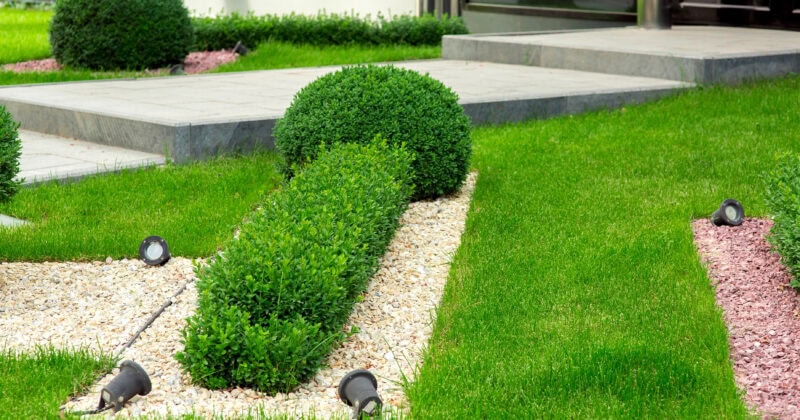 A well-manicured garden with trimmed shrubs, pebble pathways, and spotlights, leading up to a building entrance.