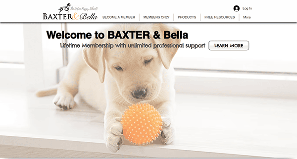 A playful puppy frolics with an orange ball beside information about Baxter & Bella's lifetime membership and the best dog training support available.