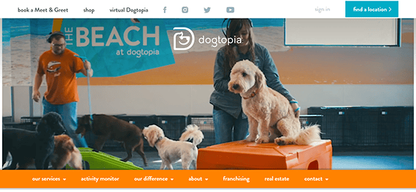 In an indoor facility, dogs frolic under the watchful eye of a supervisor. One energetic pup stands proudly on an orange obstacle, showcasing its skills acquired from top-notch dog training methods.