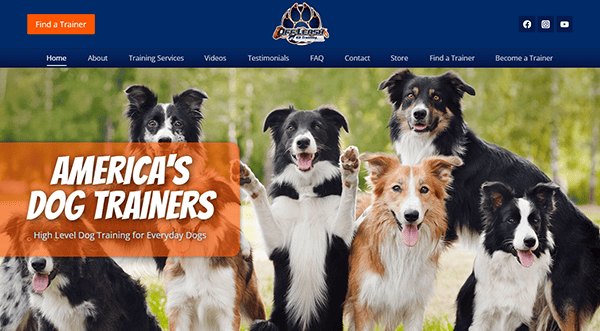 A group of dogs sits and stands outdoors beneath the text overlay, "America's Dog Trainers," highlighting premier dog training expertise. Discover top-tier methods on one of the best dog training websites, with easy navigation from the menu above.