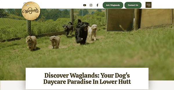 Dogs frolic in a grassy outdoor area at a dog daycare, surrounded by trees and a fence. Text reads: "Discover Waglands: Your Dog's Daycare Paradise in Lower Hutt." Explore our resources for the best dog training websites to enhance your furry friend's experience.