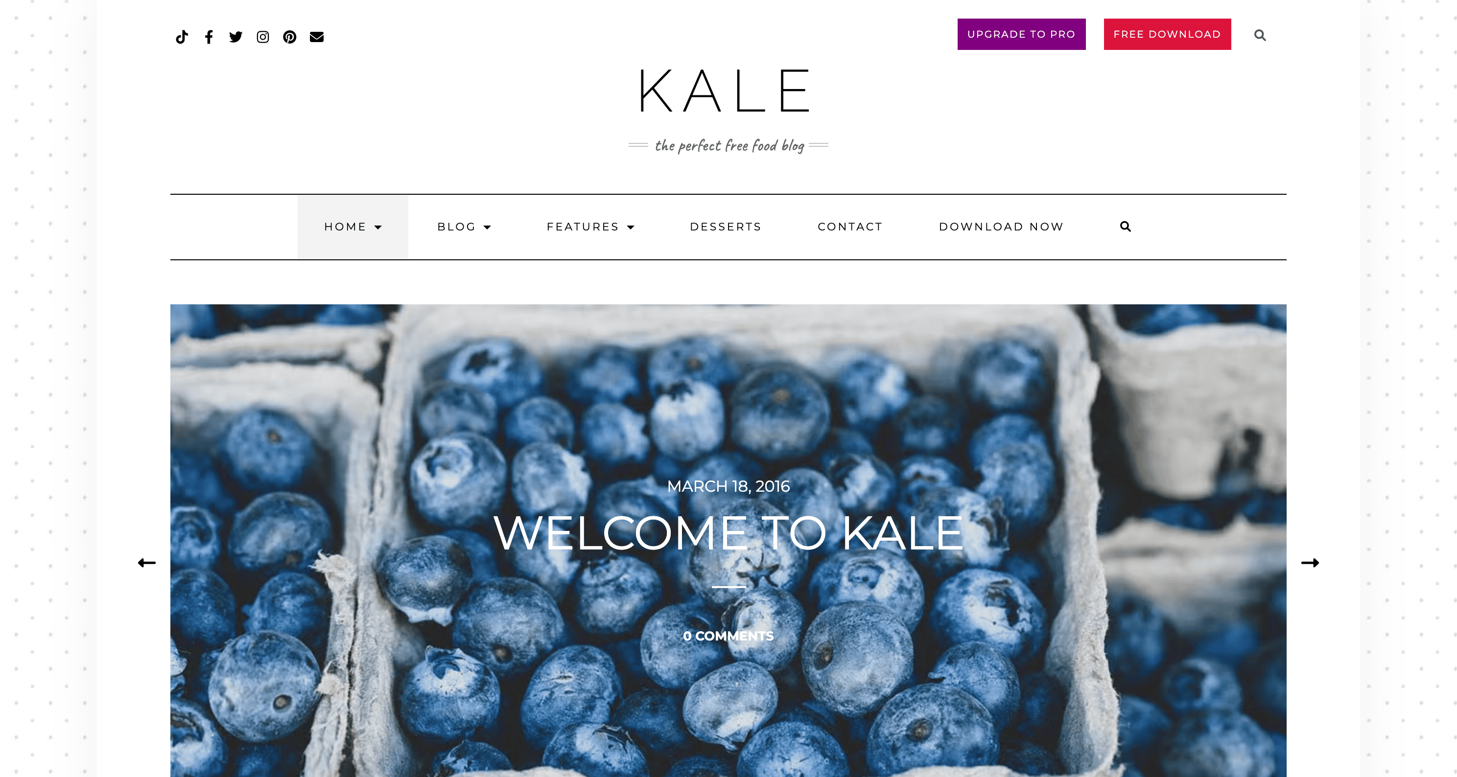 Website homepage featuring a close-up image of blueberries in baskets. The site, titled "Kale," appears to focus on food blogging, with menu options for features, desserts, and downloads.