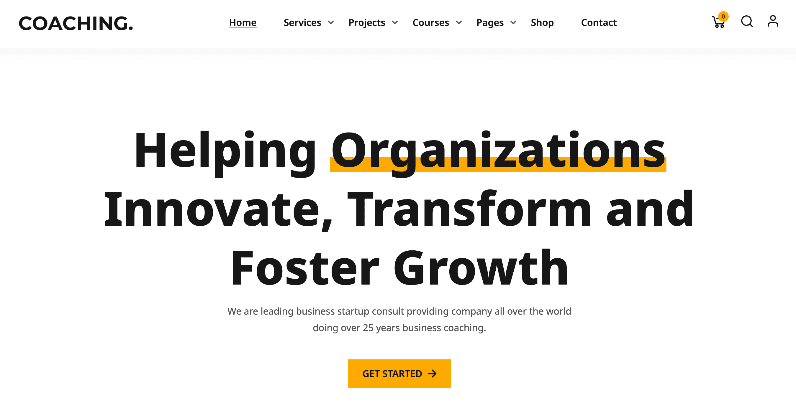 Website homepage with the text: "Helping Organizations Innovate, Transform and Foster Growth." A button reads "Get Started.
