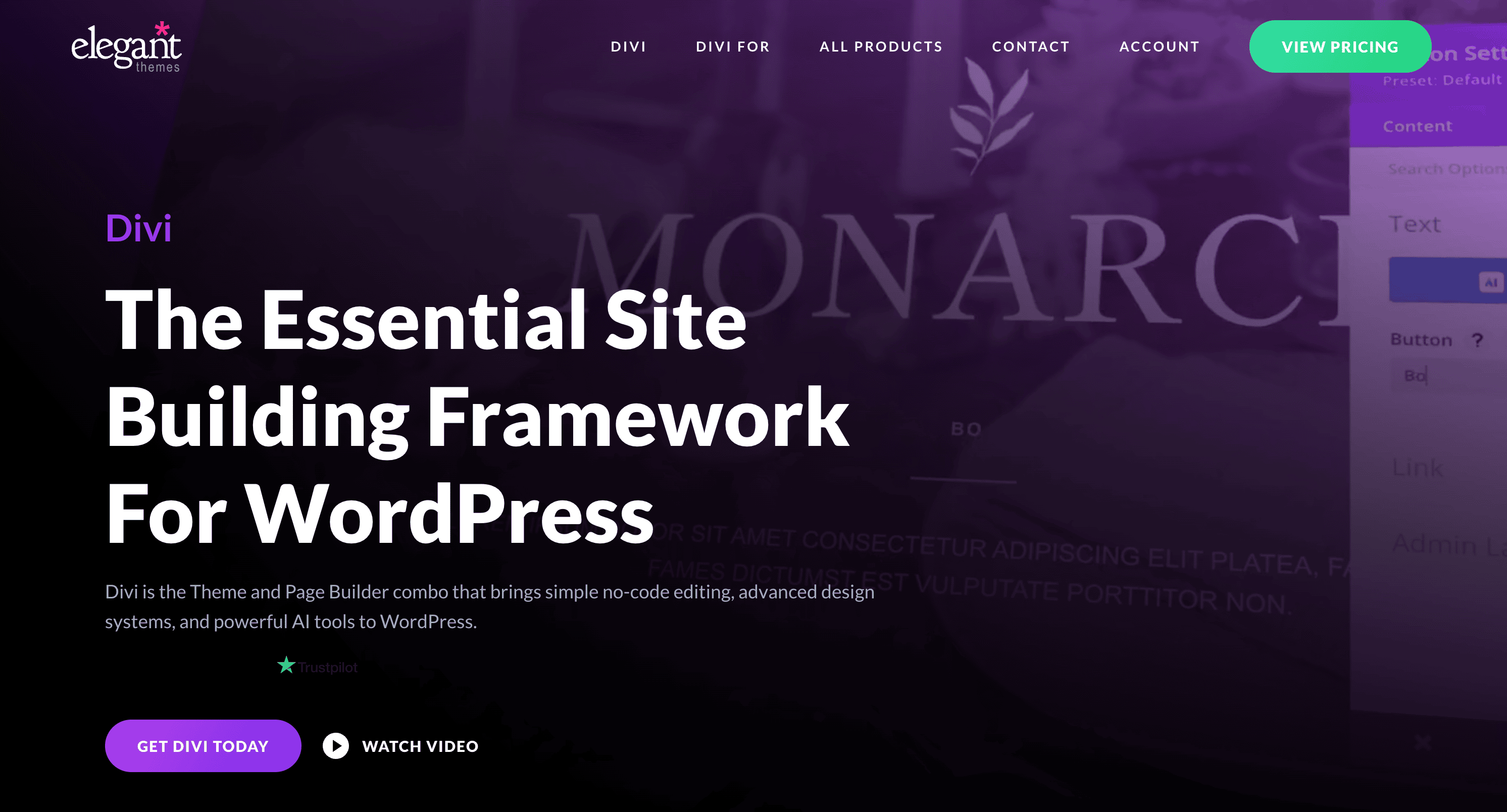 Website landing page for Divi by Elegant Themes, promoting it as an essential site building framework for WordPress with options to get Divi or watch a video.
