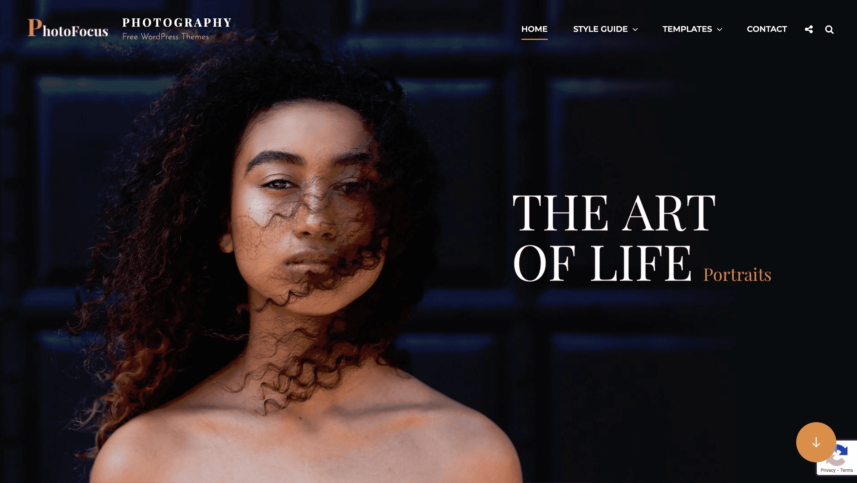 Woman with curly hair stands in front of a dark background. Text reads "The Art of Life Portraits" on the right. Photography website navigation appears at the top.
