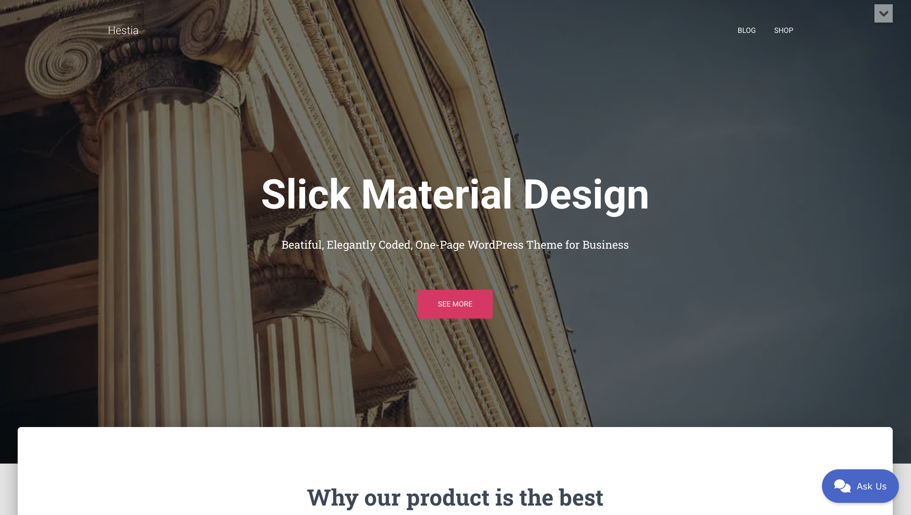 Website homepage featuring classic columns on the left, text reading "Slick Material Design" in the center, and a "See More" button below. Top right corner has "Blog" and "Shop" links.