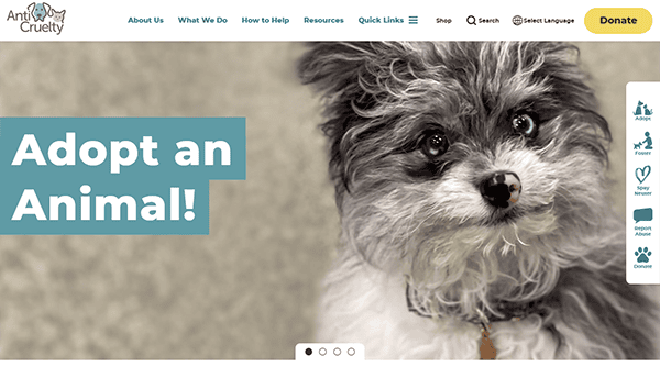 A small, fluffy black and white dog with blue eyes sits in front of a sign that says "Adopt an Animal!" on one of the best pet adoption websites.