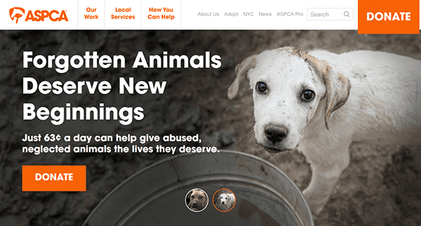 A white and brown puppy stands near a metal water bowl, looking up; large text promotes donating to help abused, neglected animals find hope through pet adoption websites and the ASPCA.