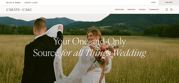 A bride and groom stand in a grassy field with mountains behind them; the bride holds a bouquet and looks at the groom. Text reads, "Your One-and-Only Source for all Things Wedding—discover the best wedding websites for your planning needs.