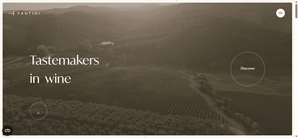 Aerial view of a vineyard landscape at sunset with the text "Tastemakers in wine" and a "Discover" button overlayed, perfect inspiration for winery website design.