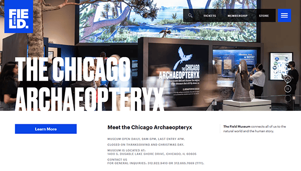 Museum exhibit display featuring "The Chicago Archaeopteryx" with informational text, dinosaur models, and large digital screens—an experience often highlighted on top museum websites like the Field Museum’s.