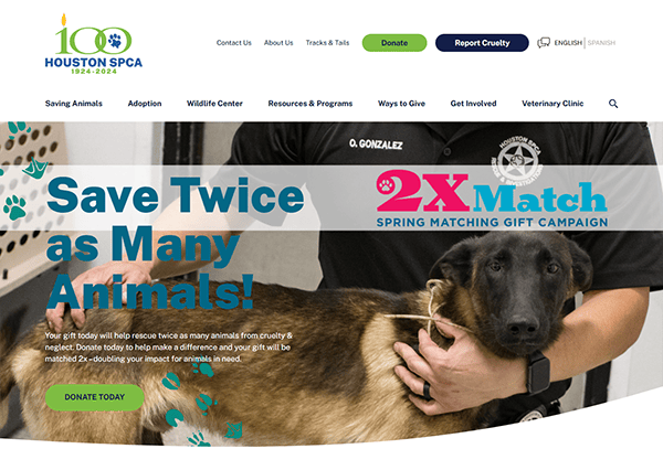 Houston SPCA website banner showing a person holding a dog, promoting a spring matching gift campaign with the message "Save Twice as Many Animals!" and a "Donate Today" button—discover why we're among the best pet adoption websites.