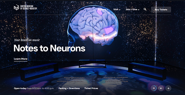 Immersive museum exhibit featuring a large digital brain projection, interactive lighting, and "Notes to Neurons" at the center—an inspiring showcase of innovation often highlighted on the best museum websites for standout museum website design.