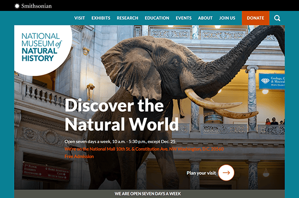 A large elephant exhibit is displayed in the main hall of the Smithsonian National Museum of Natural History, with museum information visible on screen—an example often featured among the best museum websites for engaging digital displays.