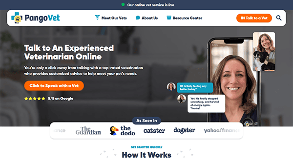 Screenshot of the PangoVet website homepage promoting online veterinarian consultations, featuring a smiling vet holding a small dog, review ratings, partner logos, and design inspiration for the best pet shop websites.