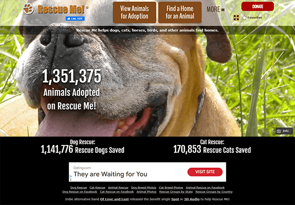 Close-up of a dog’s face with text overlay showing pet adoption statistics from Rescue Me!, including numbers of rescued dogs and cats, and buttons for adoption options featured on top pet adoption websites.