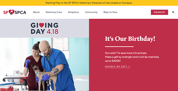 SF SPCA website page showing veterinarians examining a dog, with announcements about Giving Day on April 18, the organization's birthday fundraising campaign, and resources for pet adoption through one of the best pet adoption websites.