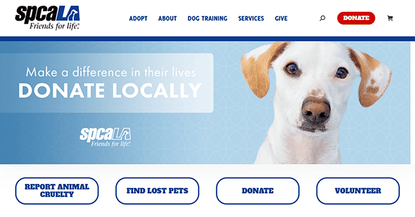 A white dog with tan ears looks at the camera next to a banner reading "Make a difference in their lives. Donate locally" on one of the best pet adoption websites, the spcaLA homepage.