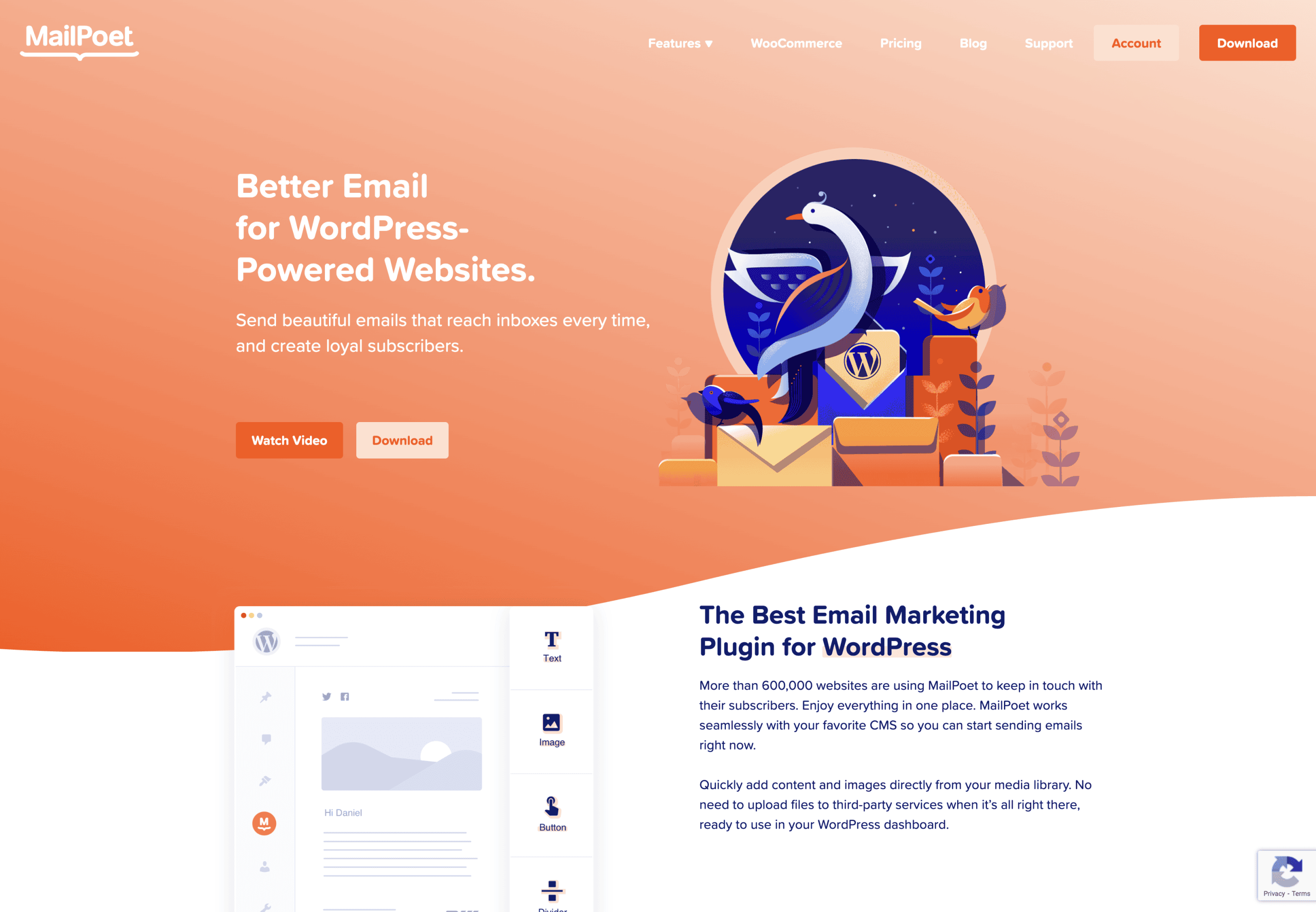 Screenshot of the MailPoet website homepage, showcasing its email marketing features for WordPress with illustrated graphics and a navigation menu at the top.
