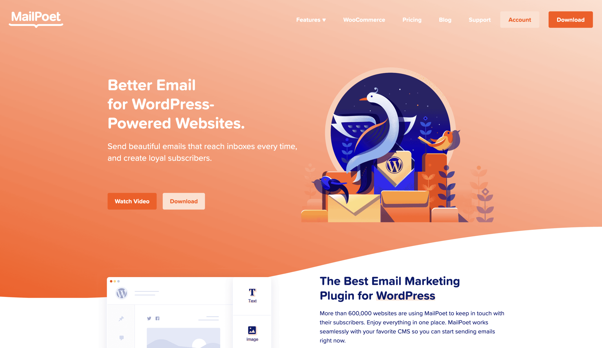 Screenshot of MailPoet's website homepage featuring a headline promoting email services for WordPress, a “Watch Video” button, and an illustration of a bird with envelopes.