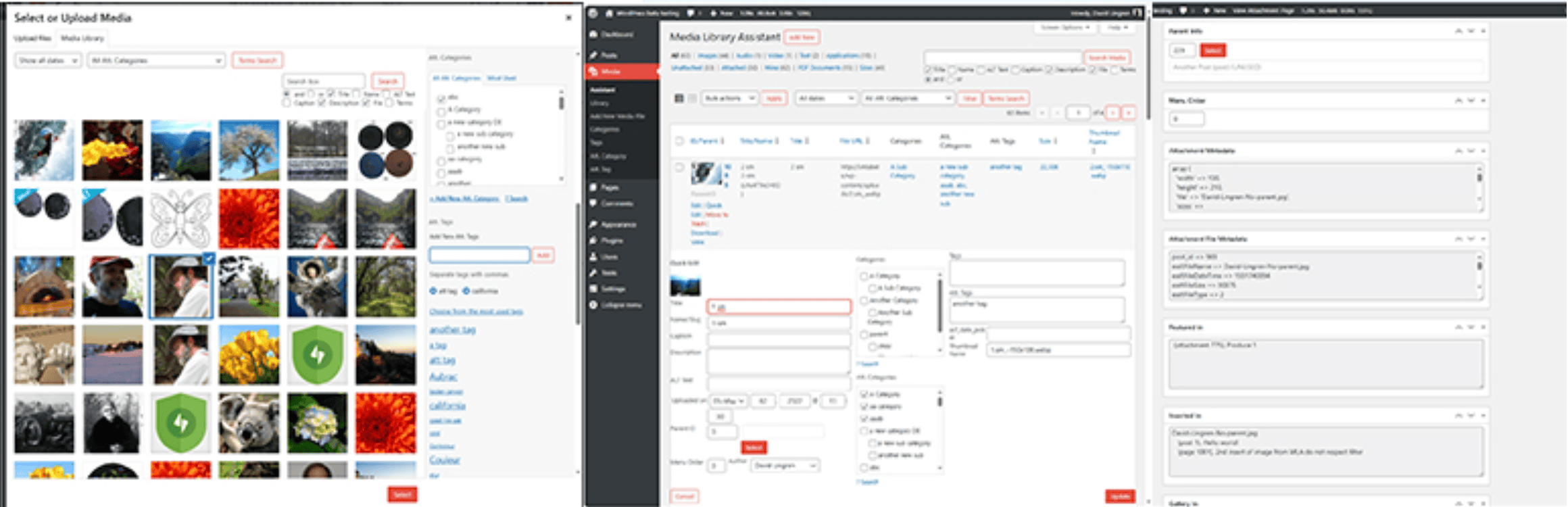 Screenshot showing a media upload selection screen on the left and a detailed media gallery edit interface on the right within a website content management system.