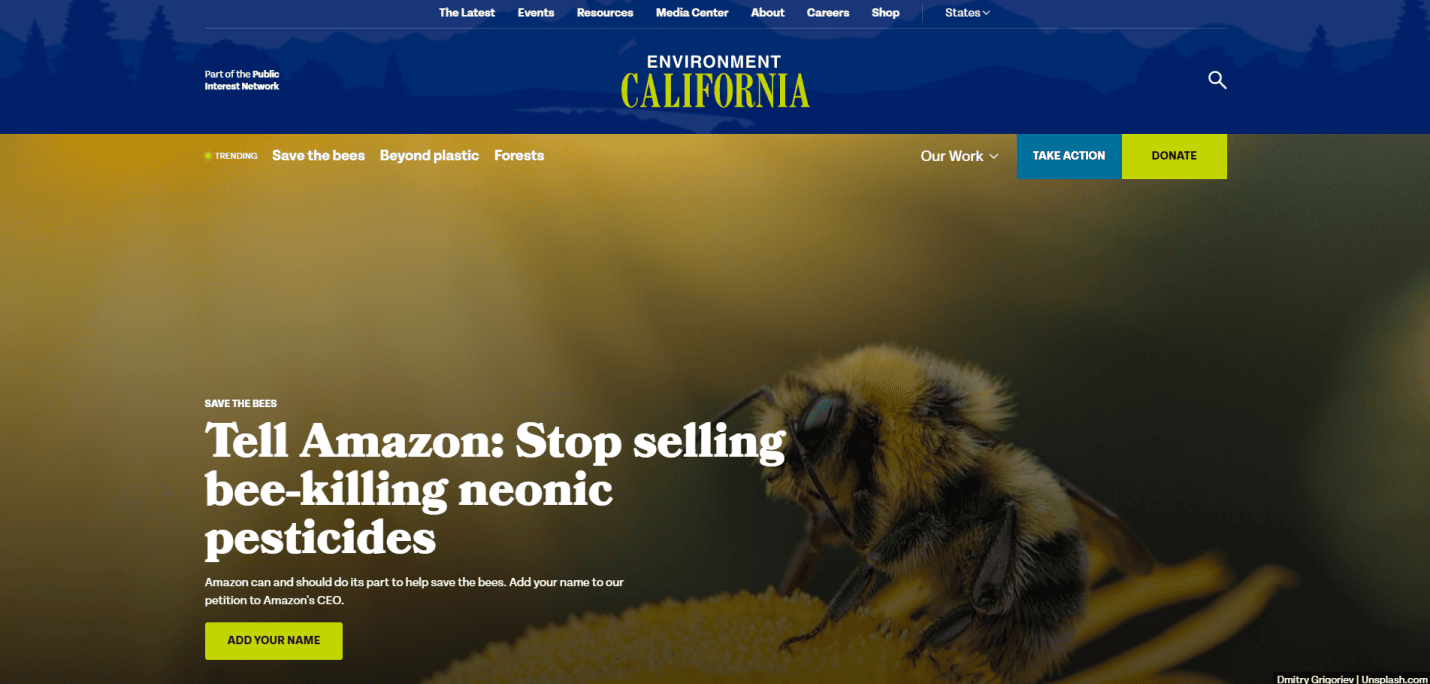 A close-up of a bee on a yellow flower is shown on the Environment California webpage, which features eco-friendly website elements. The headline reads, Tell Amazon: Stop selling bee-killing neonic pesticides, with buttons to add a name and learn more.