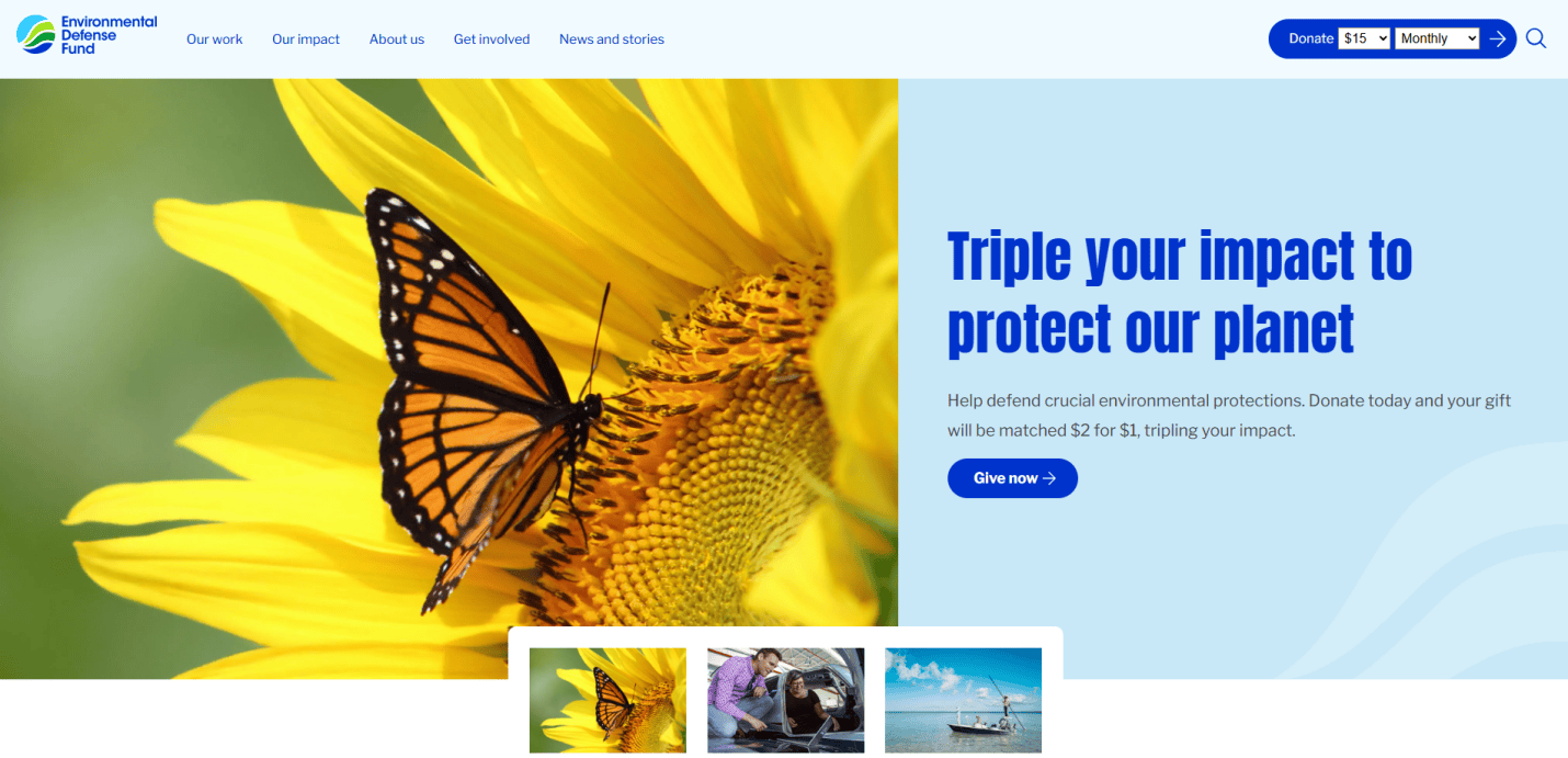 A monarch butterfly rests on a yellow sunflower. Text reads, Triple your impact to protect our planet, with a button labeled Give now. The page features environmental web design on the Environmental Defense Fund website.