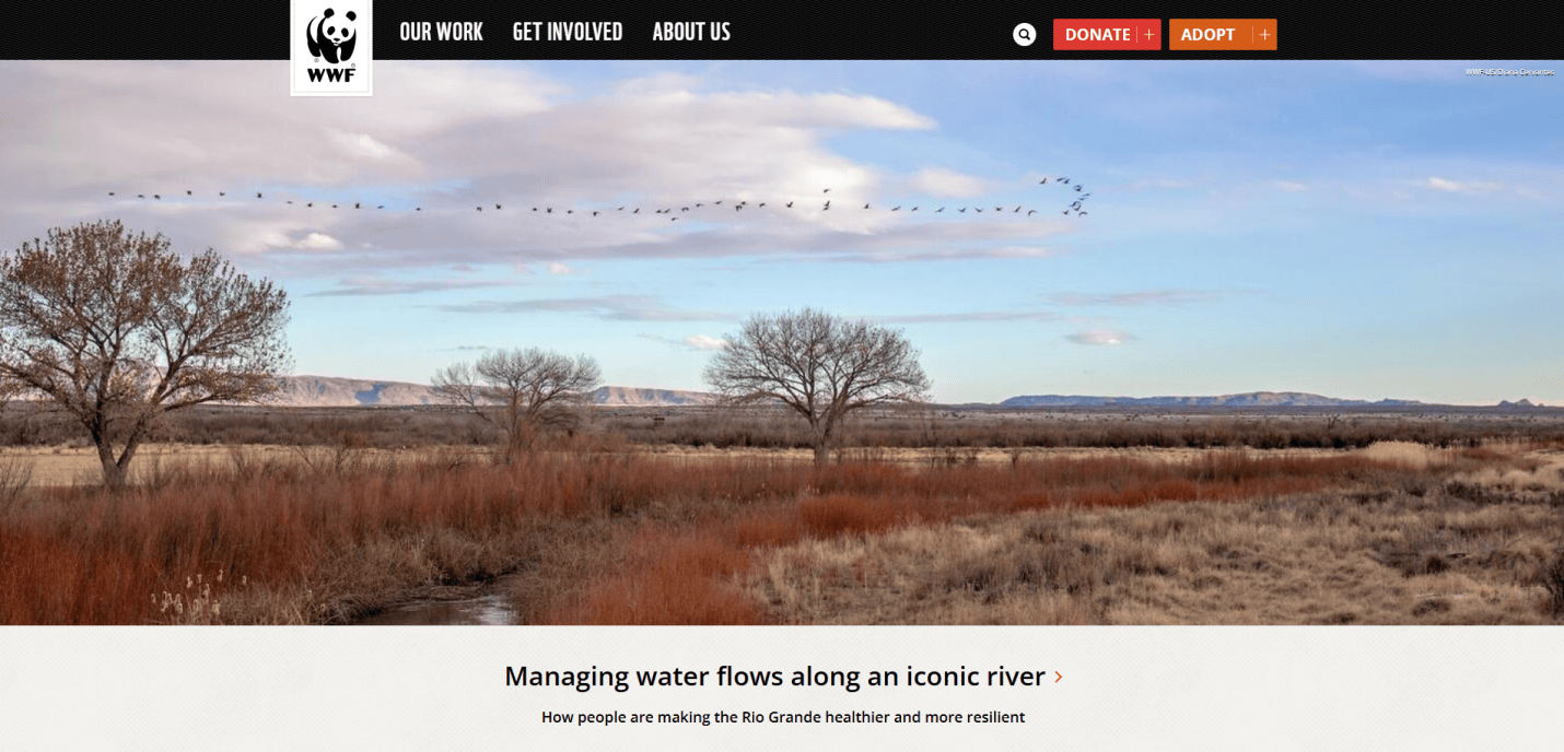 A wide river landscape in early spring with bare trees, dry grasses, distant mountains, and a flock of birds in the sky. WWF logo and menu top the page, reflecting sustainable web design values with a headline about managing the Rio Grande below.